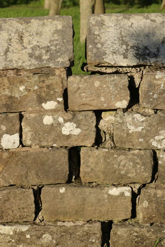 Stone Wall Repair in Murphy, NC
